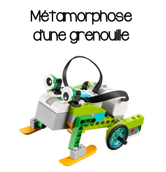 WeDoMST SAÉ Métamorphose d une grenouille Campus RÉCIT